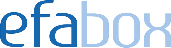 The Word Logo of the Product efabox
